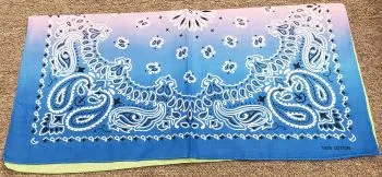 Bam VI -- Cotton Paisley Bandanas