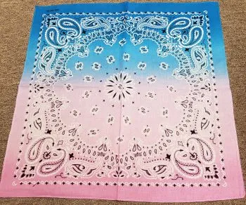 Bam VI -- Cotton Paisley Bandanas