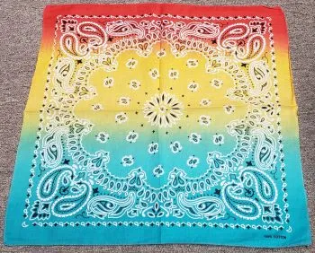 Bam VI -- Cotton Paisley Bandanas