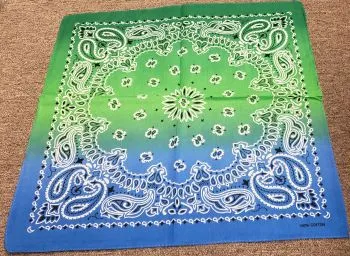 Bam VI -- Cotton Paisley Bandanas