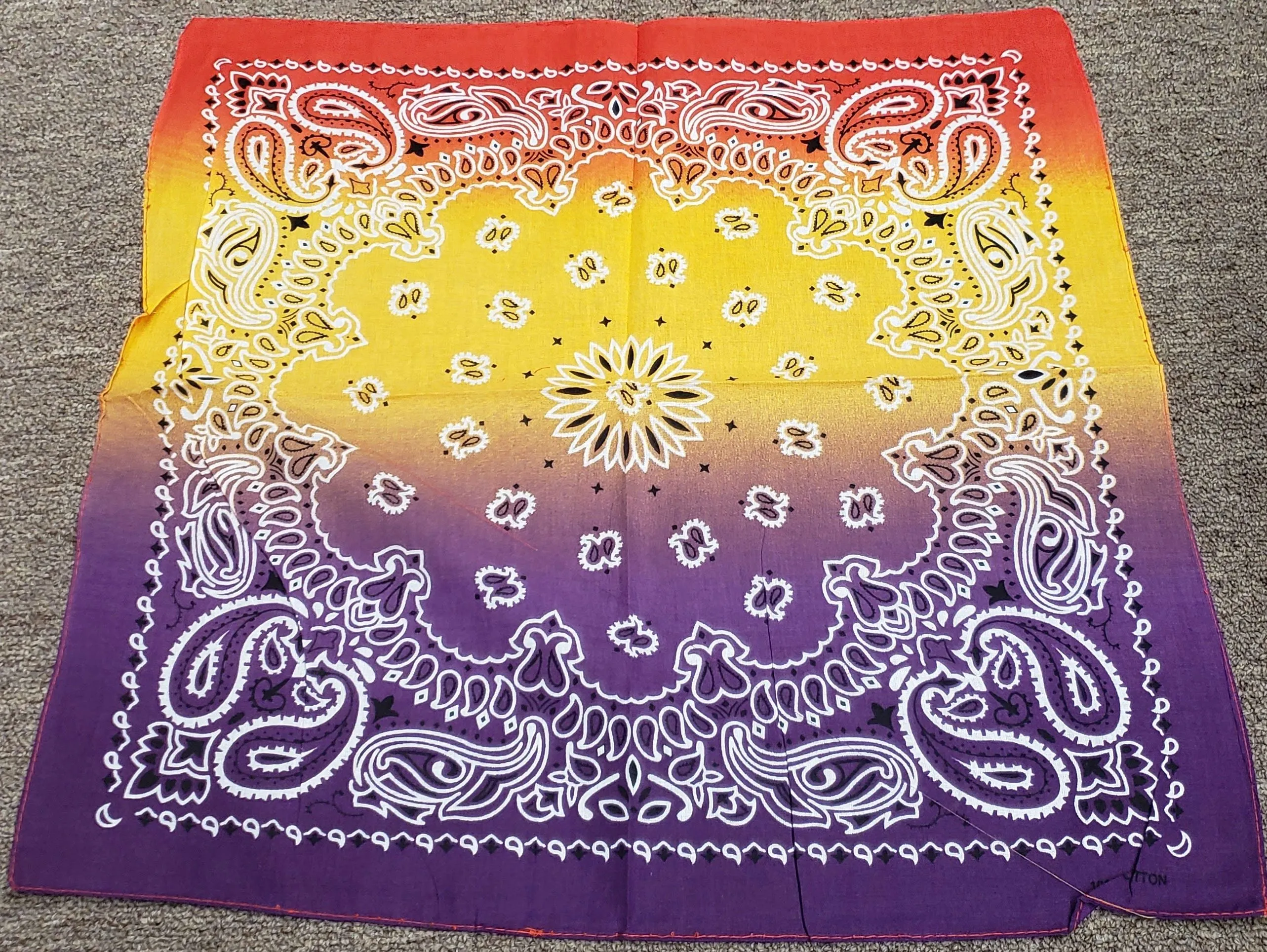 Bam VI -- Cotton Paisley Bandanas