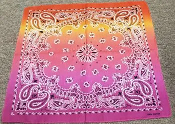 Bam VI -- Cotton Paisley Bandanas