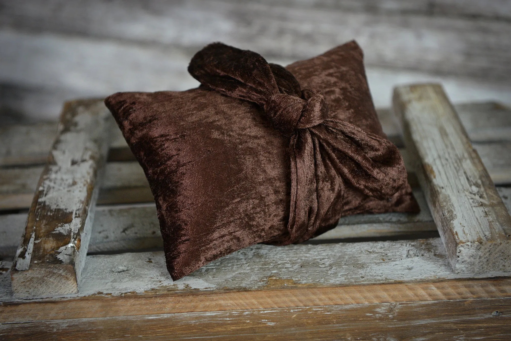 Bandana and Mini Pillow - Velvet - Brown