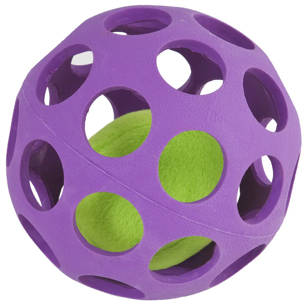 Best Friend Teaser Ball dog toy