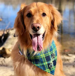 Blue & Green Plaid Flannel Custom Dog Bandanas with Name Embroidered