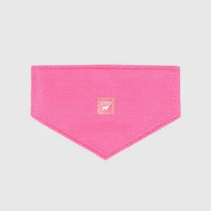 Canada Pooch Cooling Bandana Neon Pink