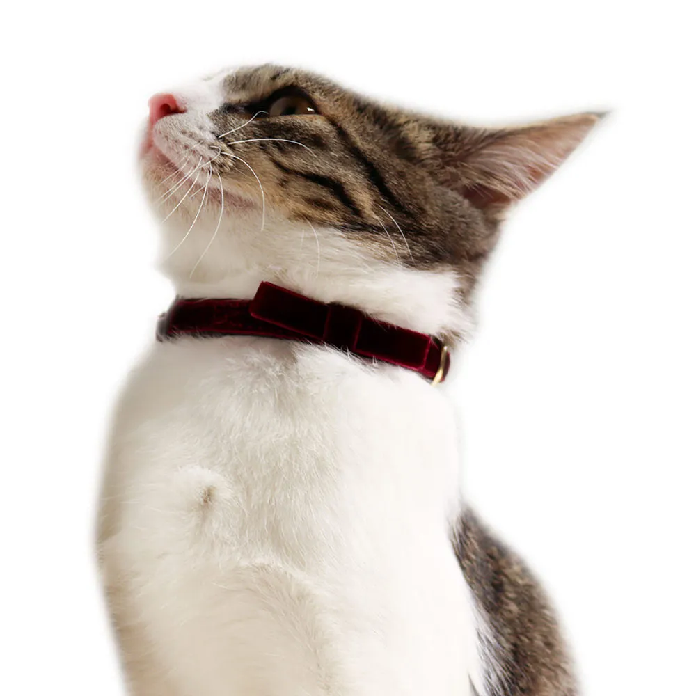 CattyMan Le Collier Luxe Cat Collar (Velvet Wine)