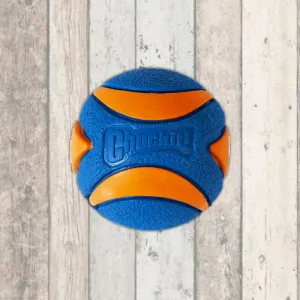 ChuckIt Ultra Squeaker Ball