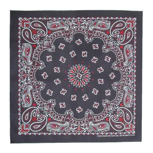 CTM® Multi Color Paisley Bandana