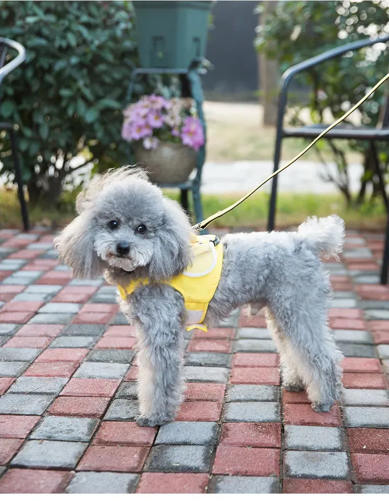 Cute Bee Vest Cats & Small Dog Leash