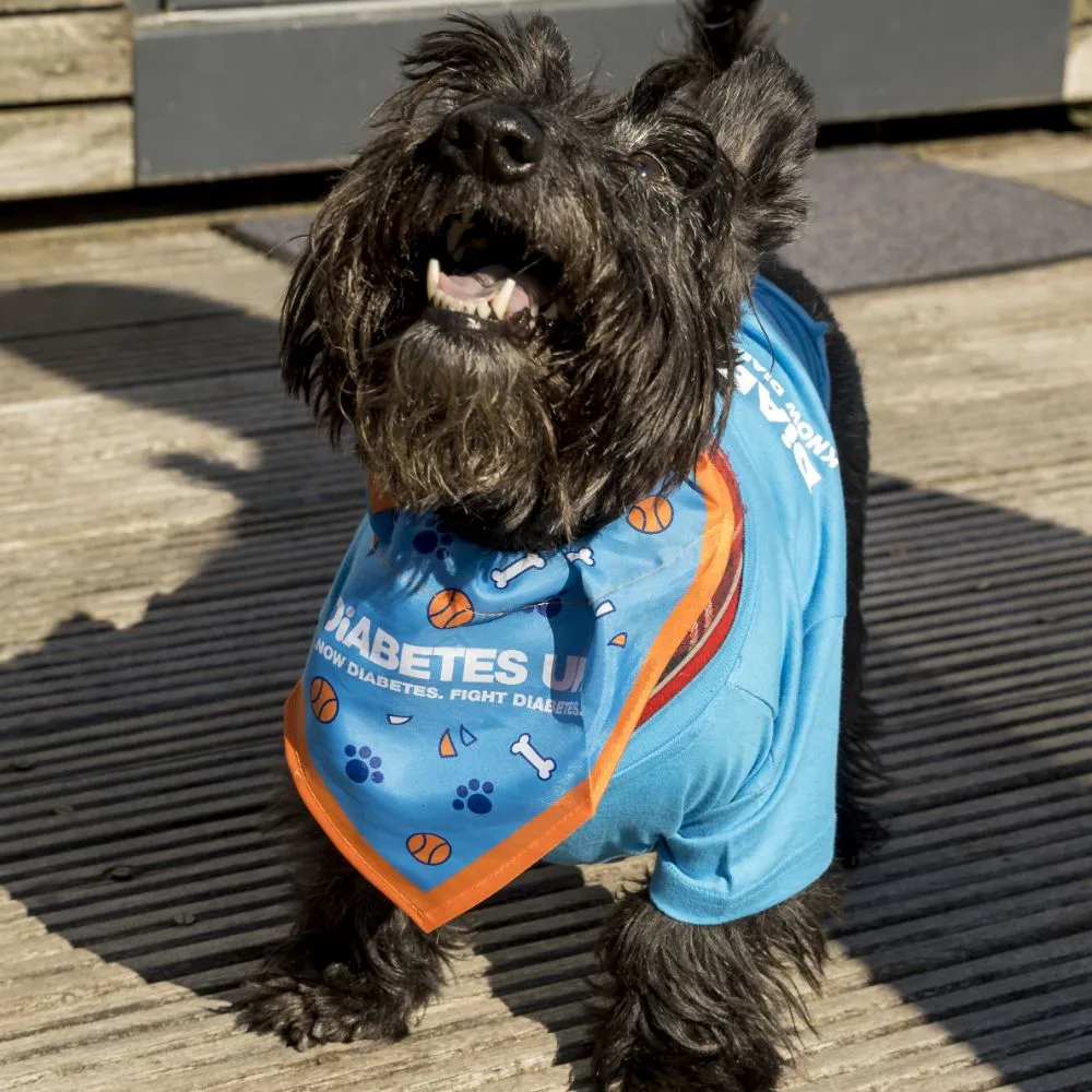 Diabetes UK Dog Bandana