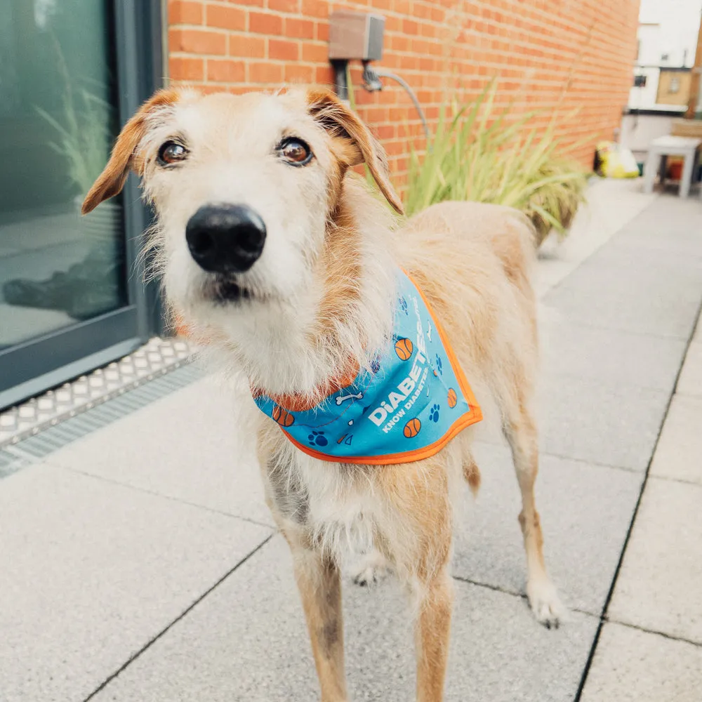 Diabetes UK Dog Bandana