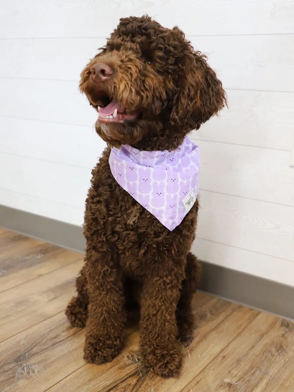 Dog Bandana - Lavender Easter Peep