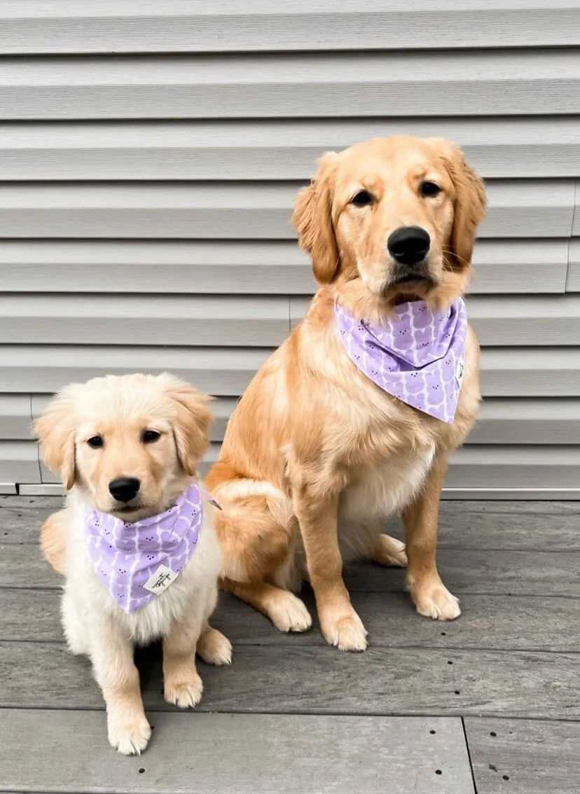 Dog Bandana - Lavender Easter Peep