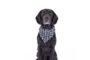 Dog Bandana - Navy Check Print