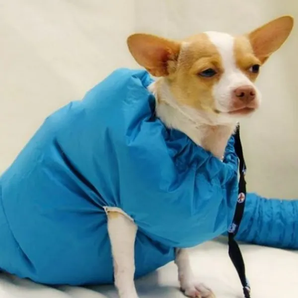 Dog Drying Bag