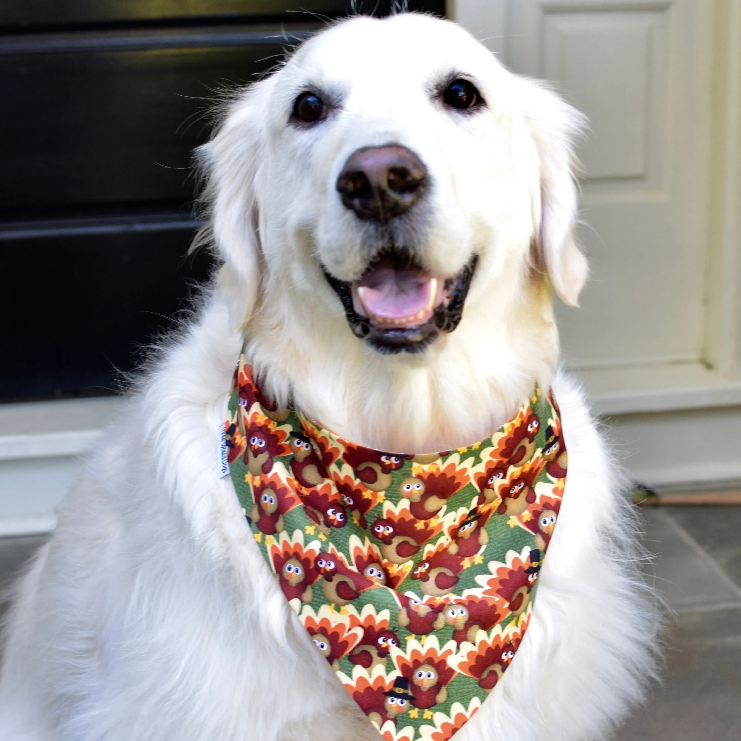 Fall Harvest Personalized Bandanas with Turkeys and Candy Corn