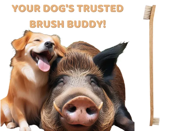 Gaia Guy Sustainable Bamboo and Boar Bristle Pet Toothbrushes