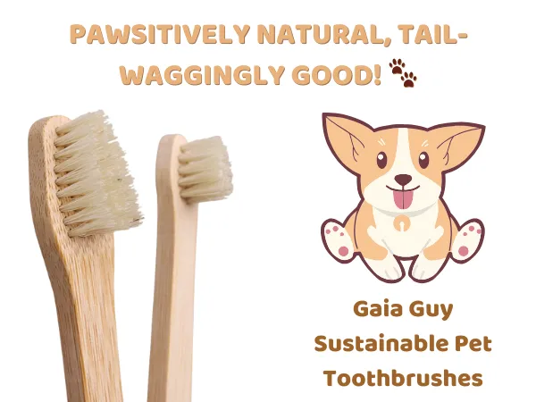 Gaia Guy Sustainable Bamboo and Boar Bristle Pet Toothbrushes