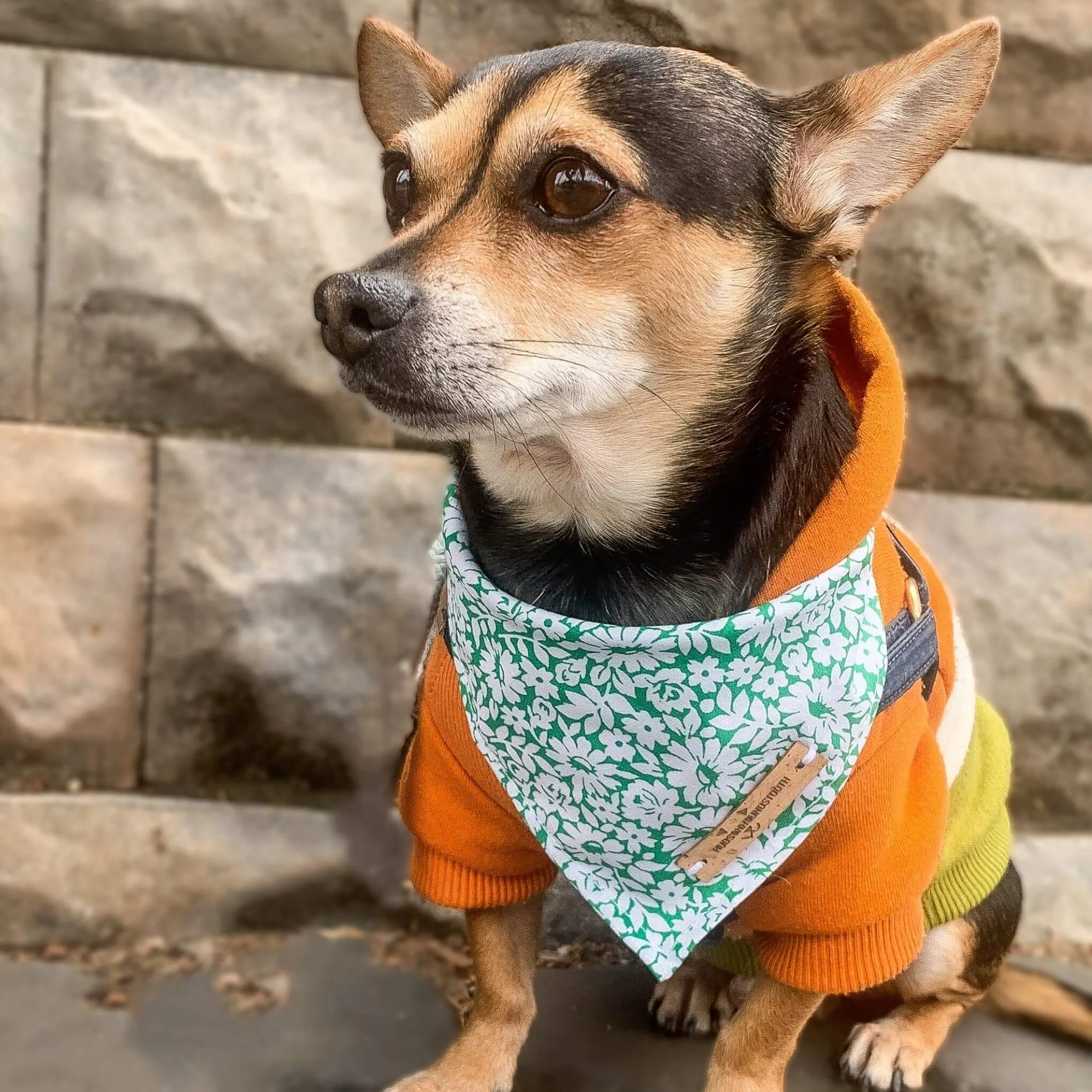 Green Daisy Floral Bandana