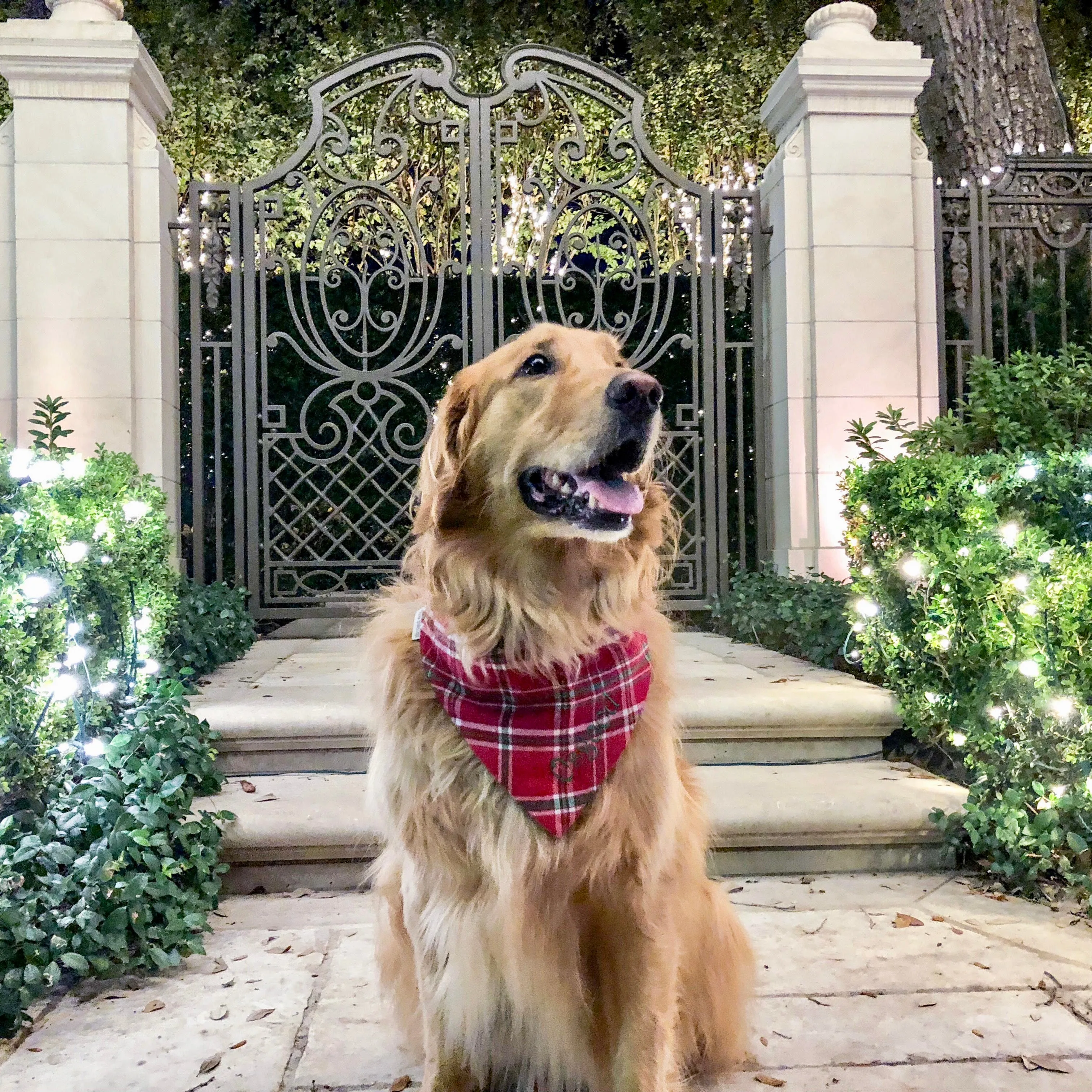 Holly Jolly Flannel Dog Bandana Christmas Plaid | Personalized with Pets Name - SOLD OUT