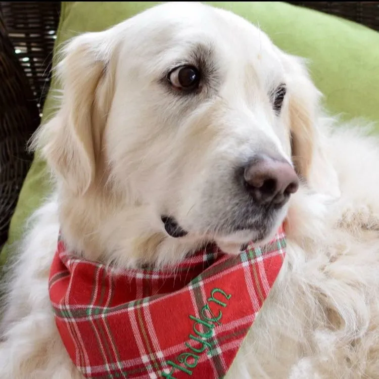 Holly Jolly Flannel Dog Bandana Christmas Plaid | Personalized with Pets Name - SOLD OUT