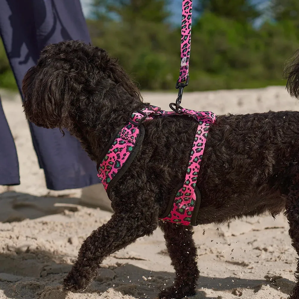 Hot Dog - Harness - Pink Ocelot