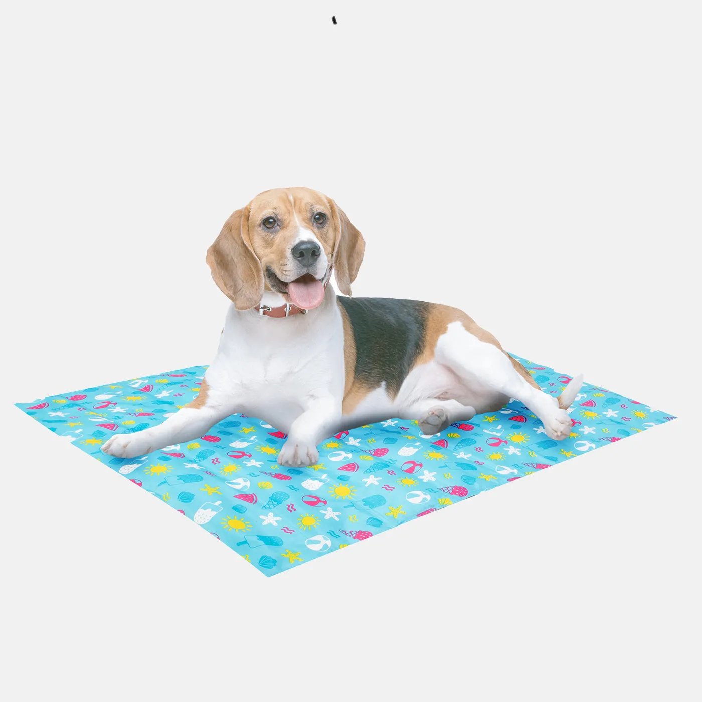 Imperfect Pet Cooling Mat