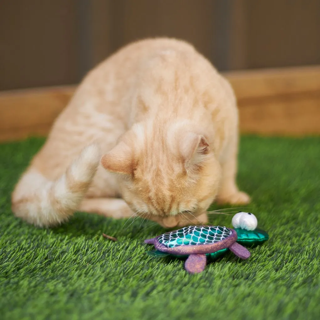 Kazoo Sea Turtle Cat Toy