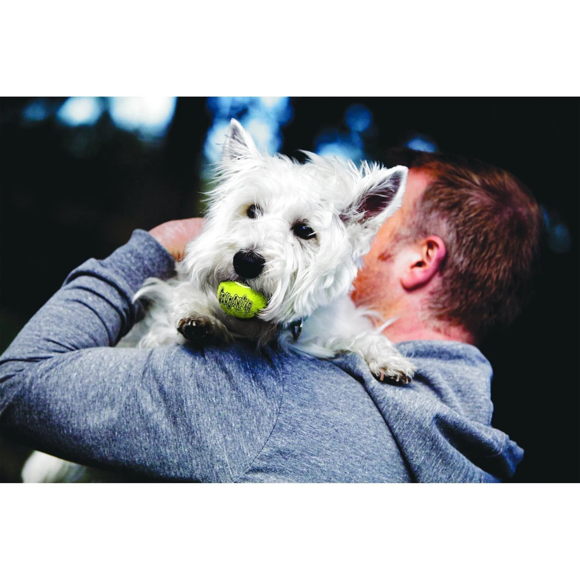 KONG Airdog Squeaker Balls Large Dog Toy 2 Pack