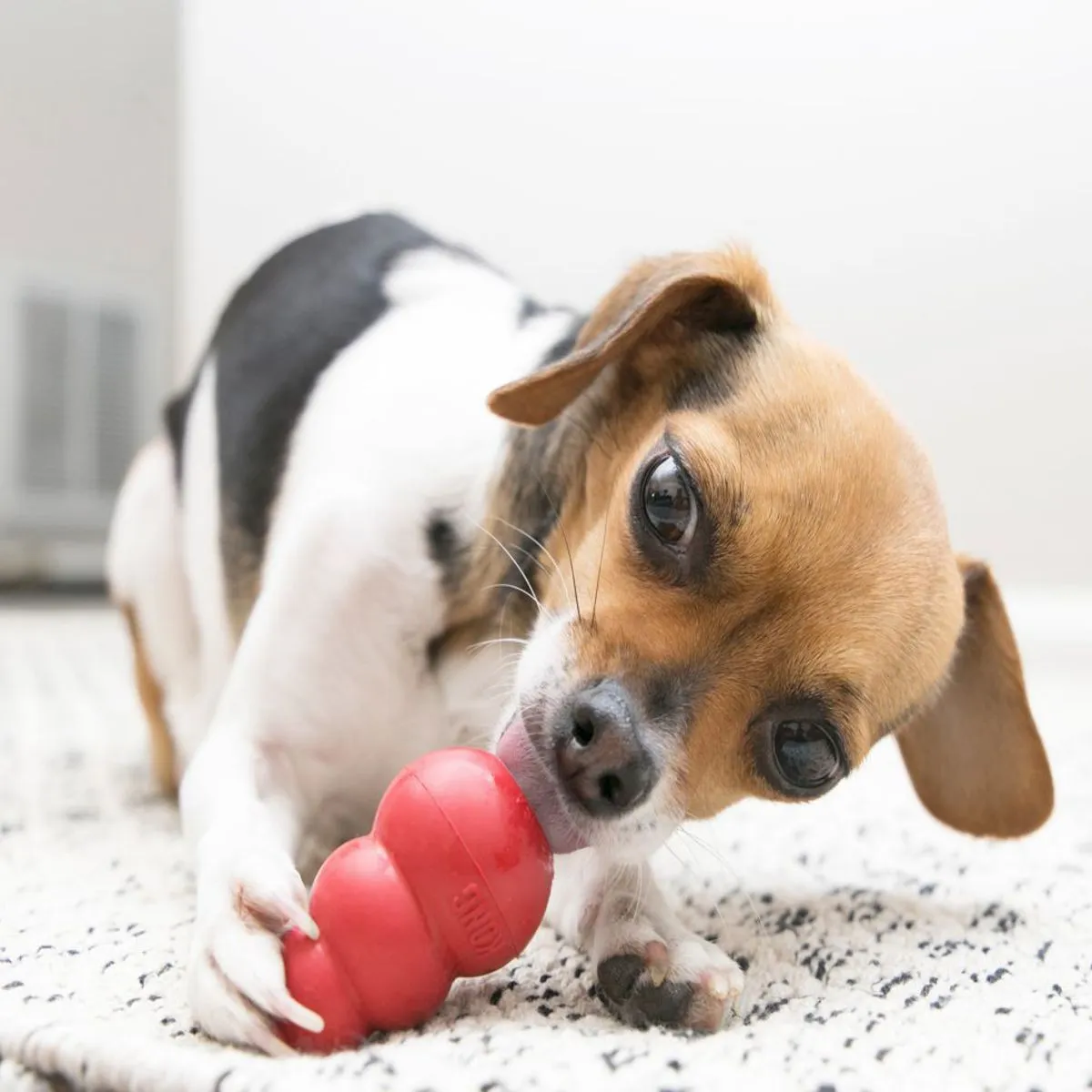 Kong® Original Treat Dispenser