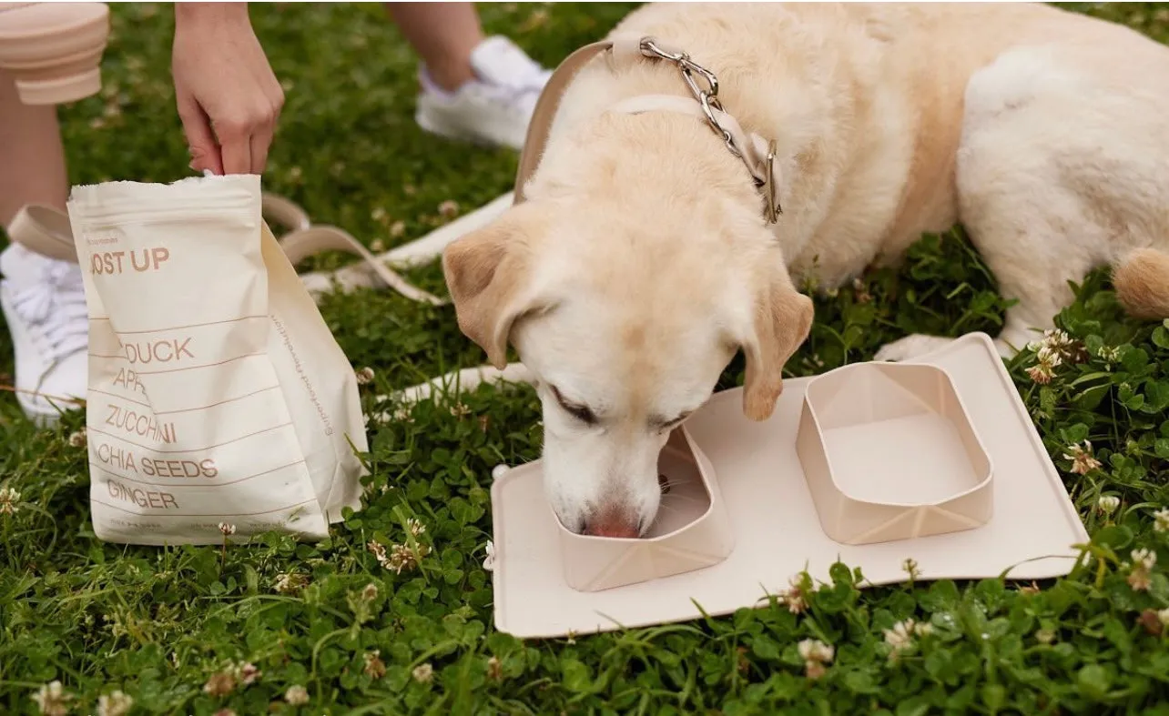 Maxbone GO! Portable Outdoor Pet Bowls, Sand