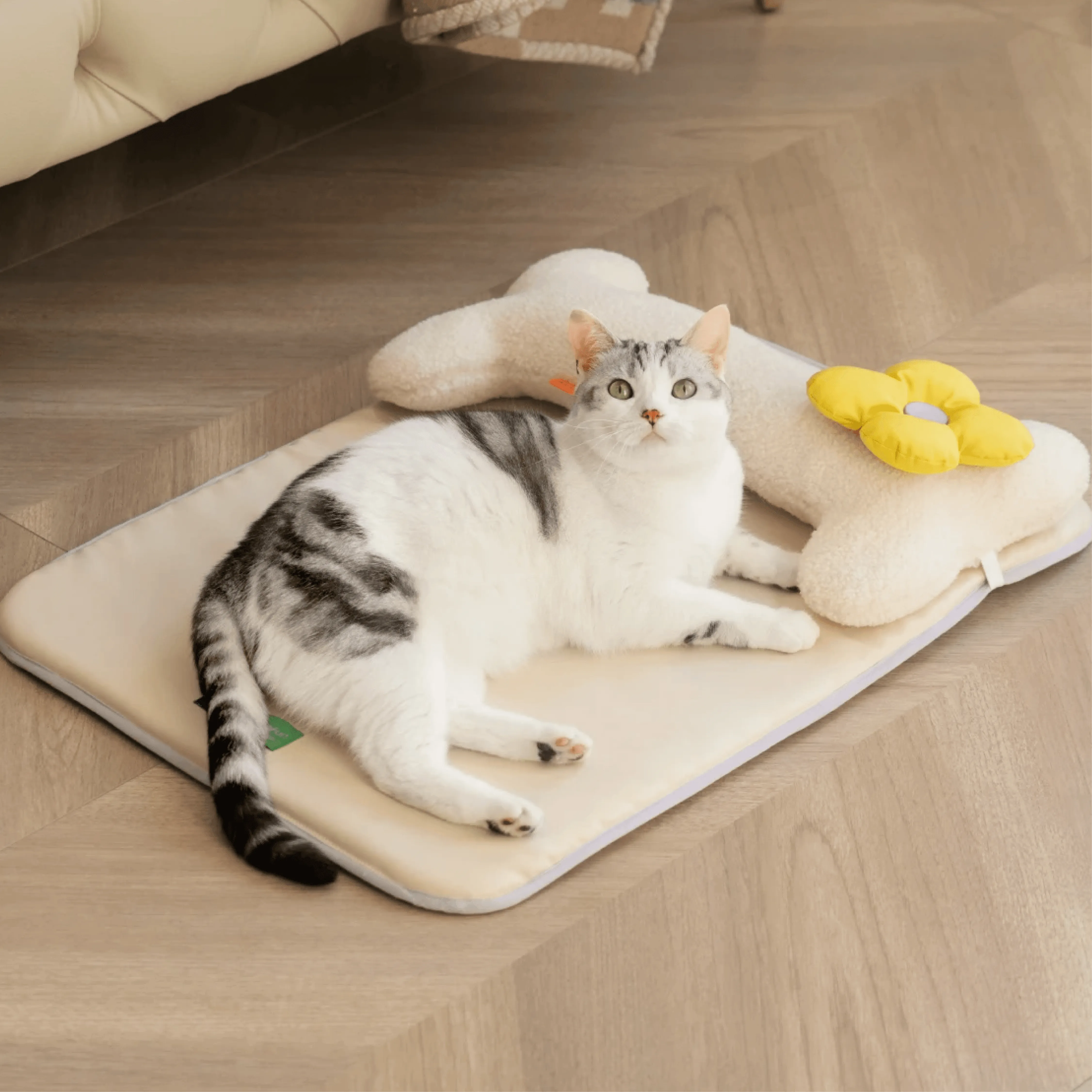 Mewoo - Cool Paws Pet Mat (w/ Bone)