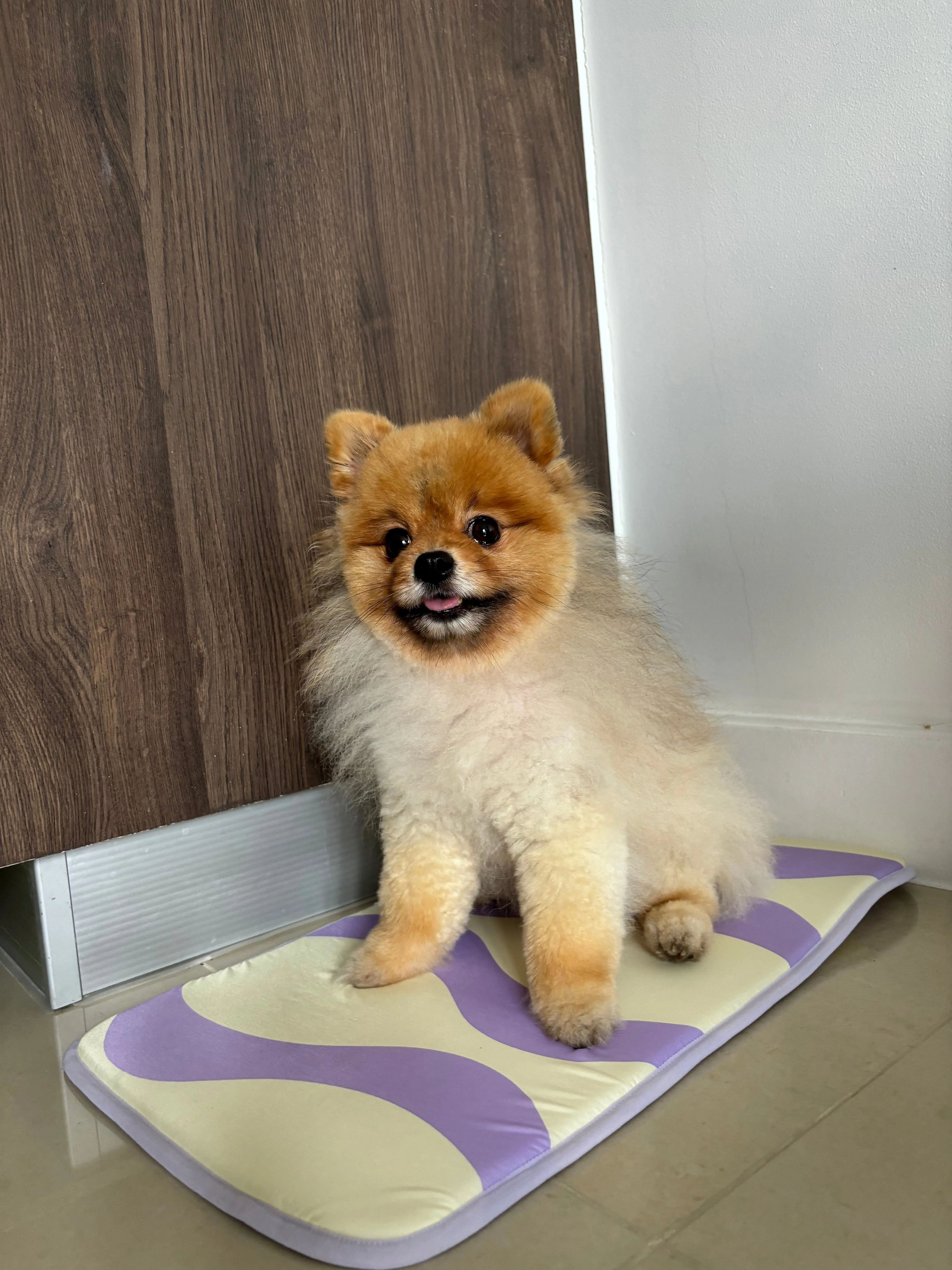 Mewoo - Cool Paws Pet Mat