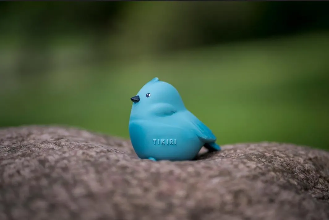 My First Tikiri Teether and Bath Toy - Bird Gift Boxed