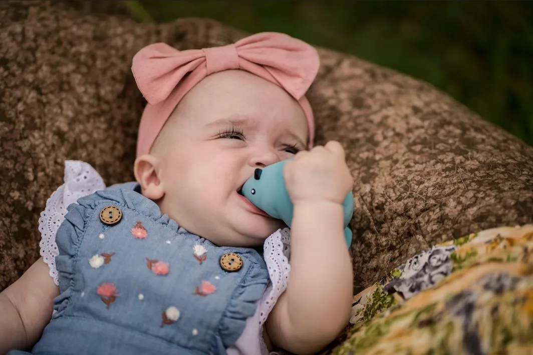 My First Tikiri Teether and Bath Toy - Bird Gift Boxed