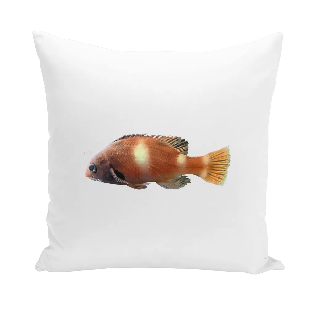 Orange Fish Throw Pillows