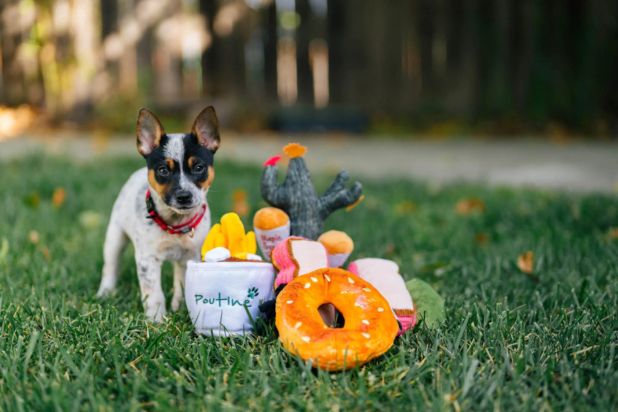 P.L.A.Y. Montreal Munchies Squeaky Plush Dog toys, Barking Up The Maple Tree