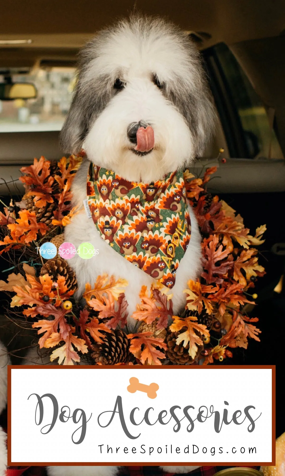 Pumpkins and Fall Harvest Dog Bandanas