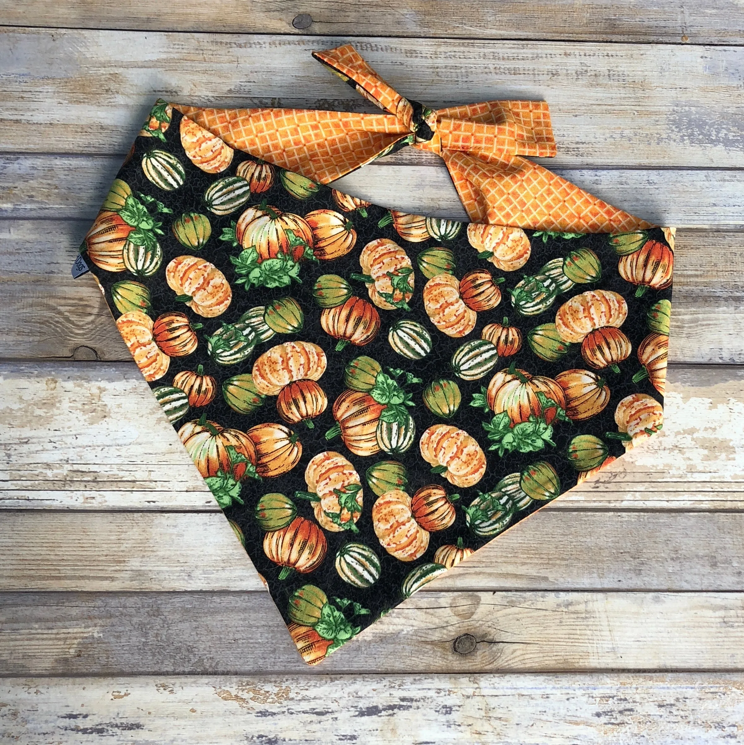 Pumpkins and Fall Harvest Dog Bandanas