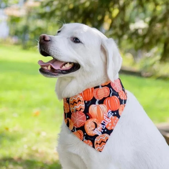 Pumpkins and Fall Harvest Dog Bandanas