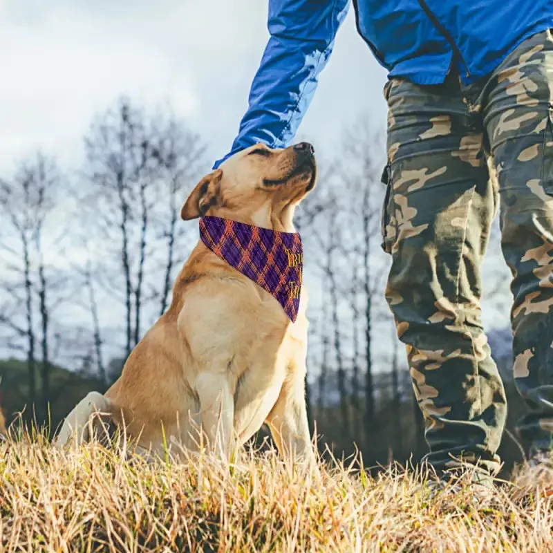 Purple Halloween Dog Bandana for Trick or Treat Fun