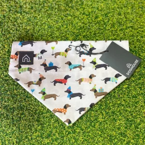 Sausage Dog Party Slip-On Dog Bandana