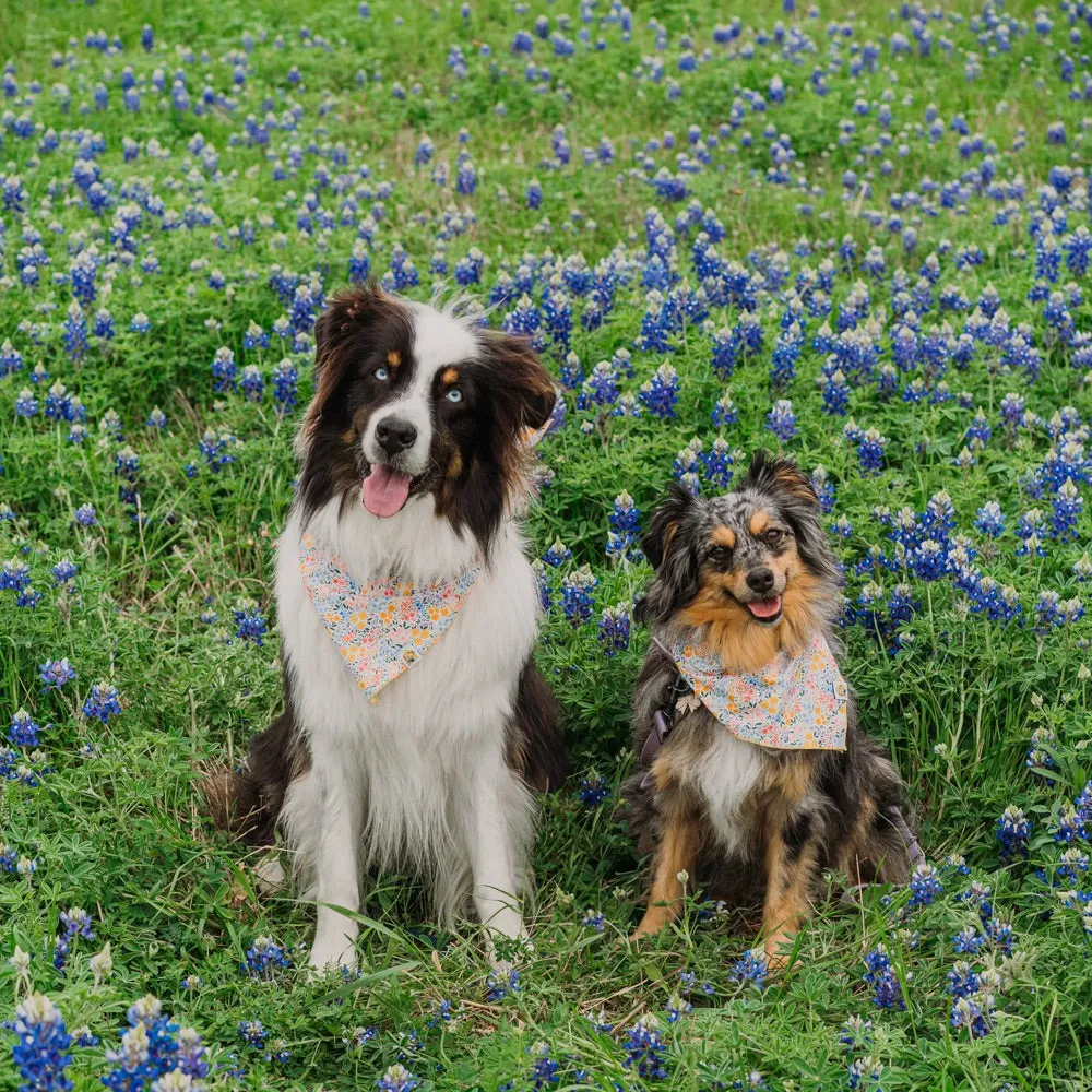 Sunshiney Florals Dog Bandana