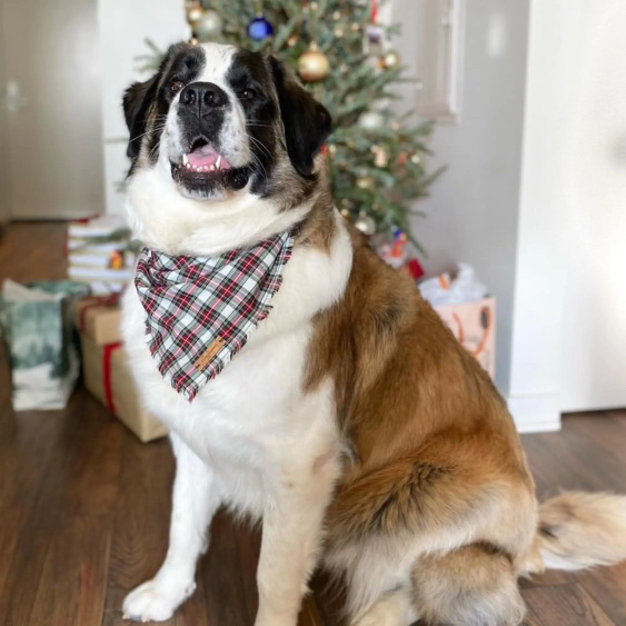 White Christmas Plaid Bandana