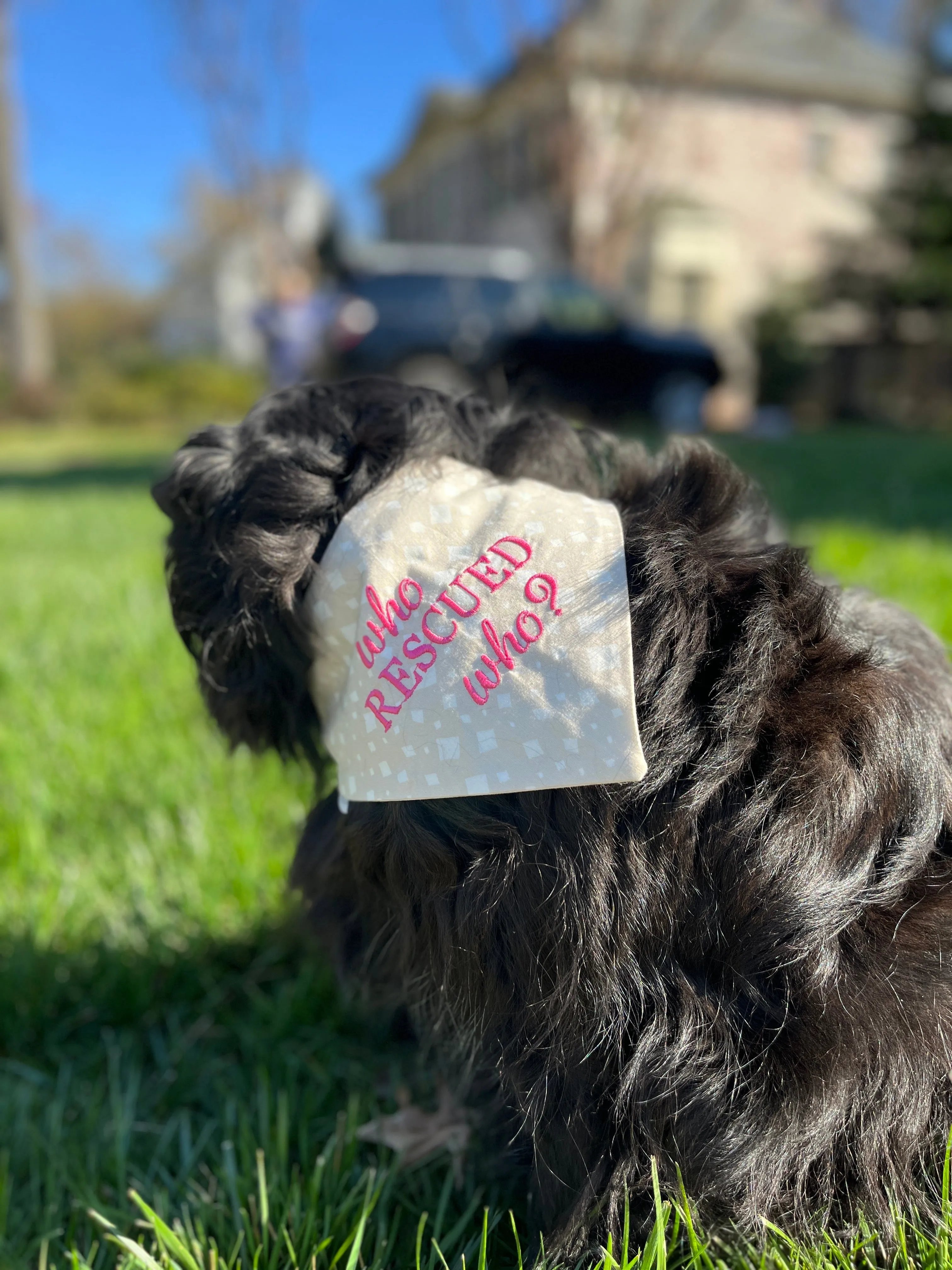 Who Rescued Who? Embroidered Dog Bandanas Ready to Ships -SALE PAGE