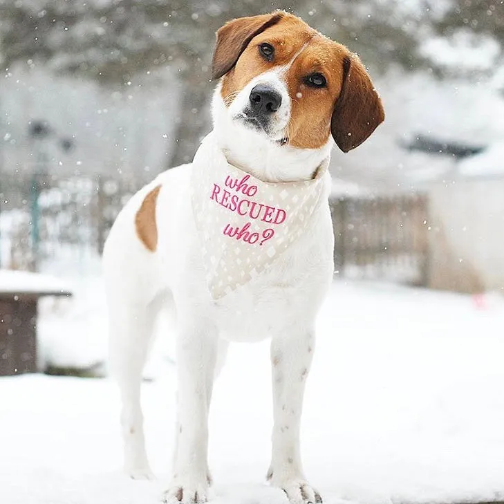 Who Rescued Who? Embroidered Dog Bandanas Ready to Ships -SALE PAGE