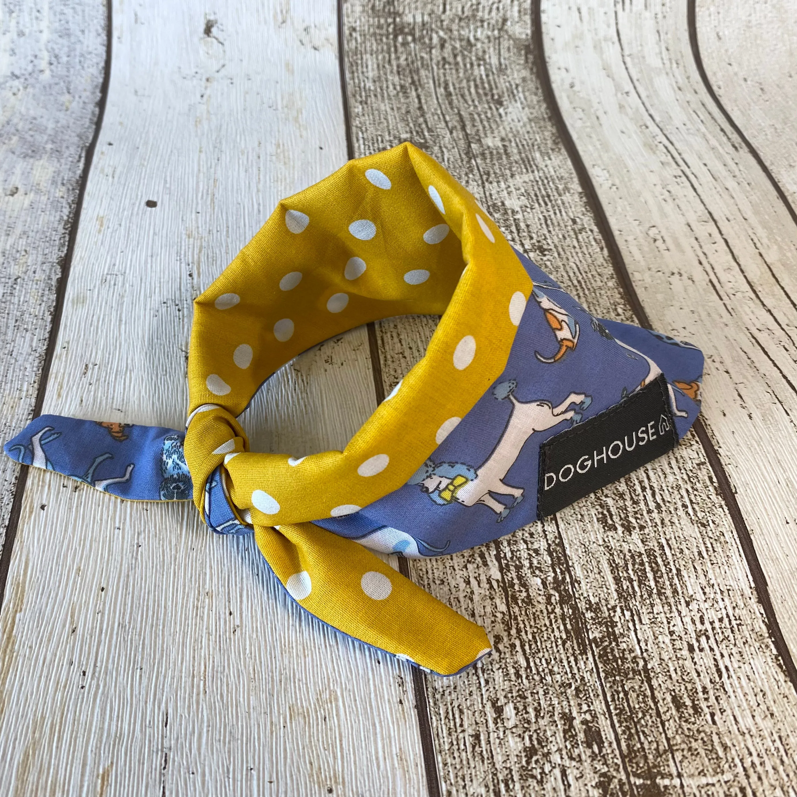 Yellow Polka Dot Blue Dog Bandana